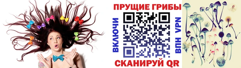 кракен ссылки  Игарка  Галлюциногенные грибы Cubensis 
